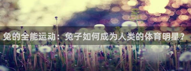 劲球体育app官方入口