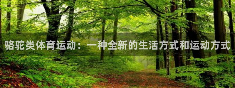 劲球体育免费观看高清视频篮球团团直播：骆驼类体育运动：一种全新的生活方式和运动方式