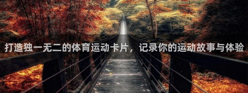 劲球体育直播免费观看