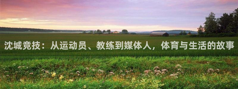 劲球体育app官方下载