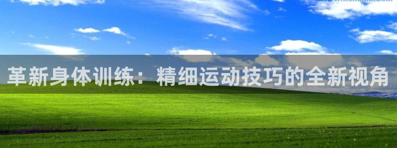 劲球体育app官方入口
