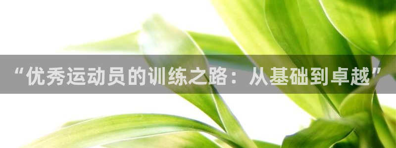劲球体育视频