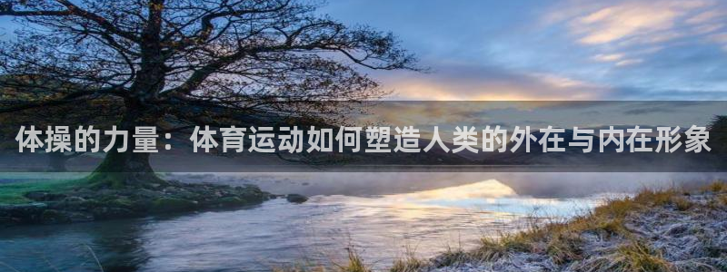 劲球体育免费观看直播