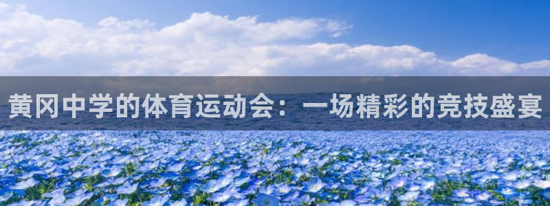 劲球体育