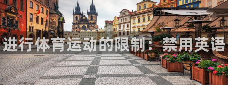劲球体育免费直播小羊直播间