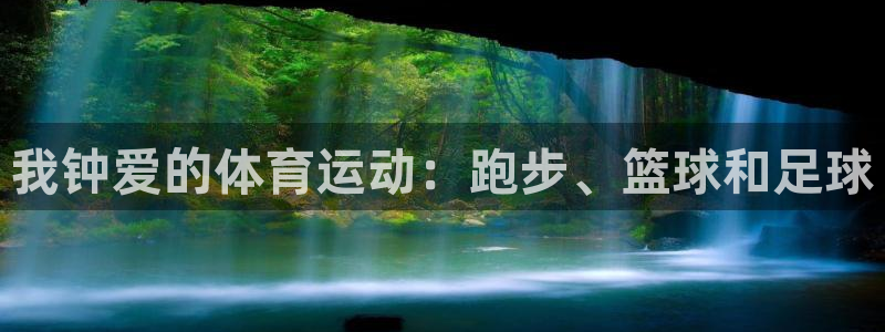 劲球体育视频