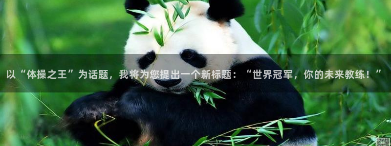 劲球体育：以“体操之王”为话题，我将为您提出一个新标题：“世界冠军，你的未来教练！”