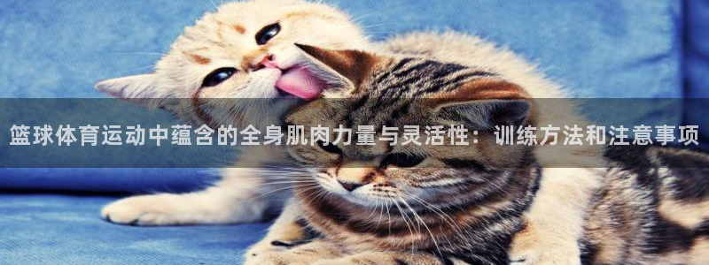 劲球体育app官方下载：篮球体育运动中蕴含的全身肌肉力量与灵活性：训练方法和注意事项