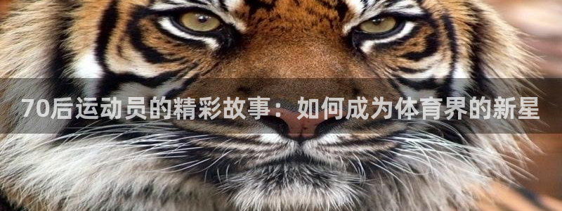 劲球体育：70后运动员的精彩故事：如何成为体育界的新星